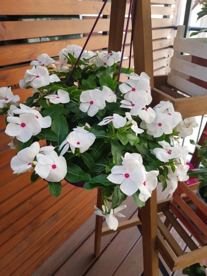 La Terrazza Di Carolina Bed & Breakfast Agrigento Exterior photo